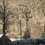 Zima w górach - widok na drzewa