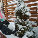 Zima - drzewko i śnieg na rękach dziecka