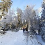 Zima widok - dzieci spacerujące