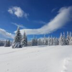 Zima w górach - widok na drzewa