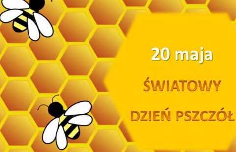 Światowy Dzień Pszczół