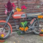 Motor i kwiaty