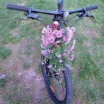 Rower i kwiaty