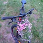 Rower i kwiaty