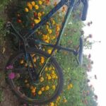 Rower w kwiatach