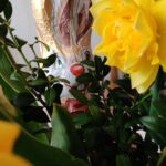 Wielkanocny zajączek - poszukiwanie