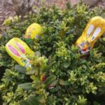 Wielkanocny zajączek - poszukiwanie