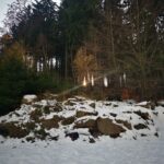 Śnieżna zima - widok w lesie