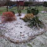 Śnieżna zima - widok na ogródek