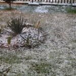 Śnieżna zima - widok na ogródek