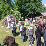 W wiosce Wikingów - prelekcja dla uczniów